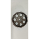 Engrenagem Comando Valvula Corsa/celta/onix/prisma/meriva 